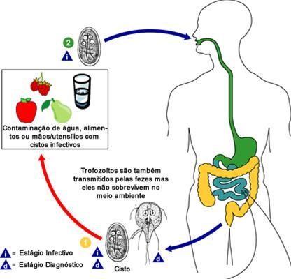 Informação e Conscientização: A Melhor Ferramenta de Prevenção - inspiração 1