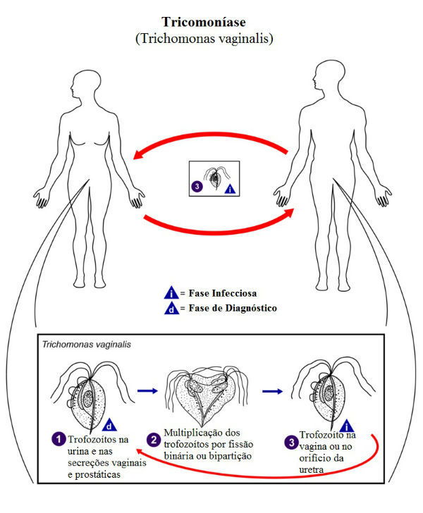 Comunicação Aberta: Falando Sobre Saúde Sexual - inspiração 1