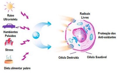 Hidratação Essencial: Mais Que Água, Um Elixir para a Vitalidade Celular - inspiração 1