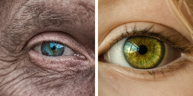 Suplementação Comprovada: Quando Vitaminas e Minerais São Aliados - inspiração 1