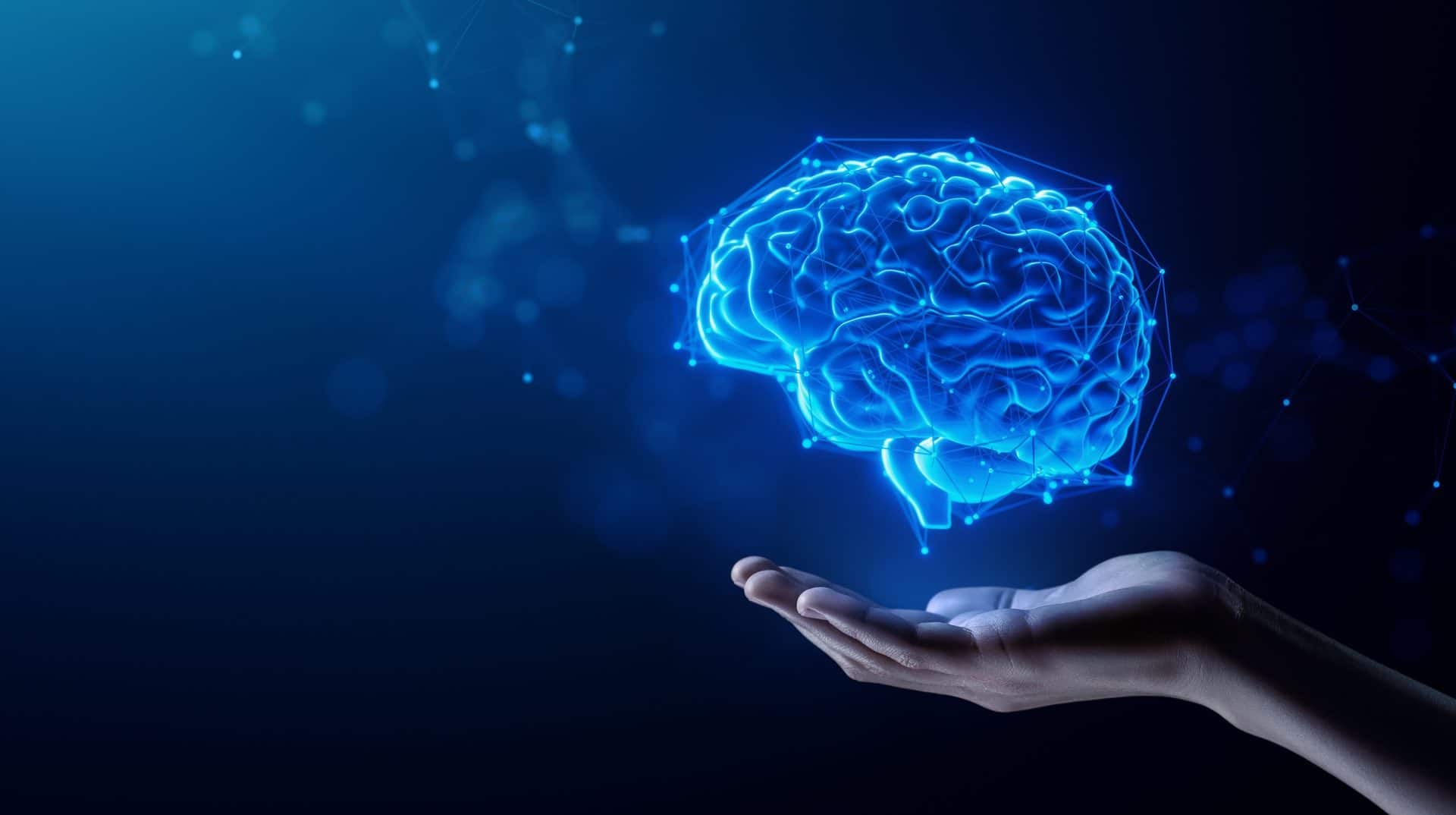 A Força dos Vínculos Sociais - inspiração 1