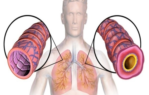 Alimentação Inteligente para Fortalecer o Corpo - inspiração 2