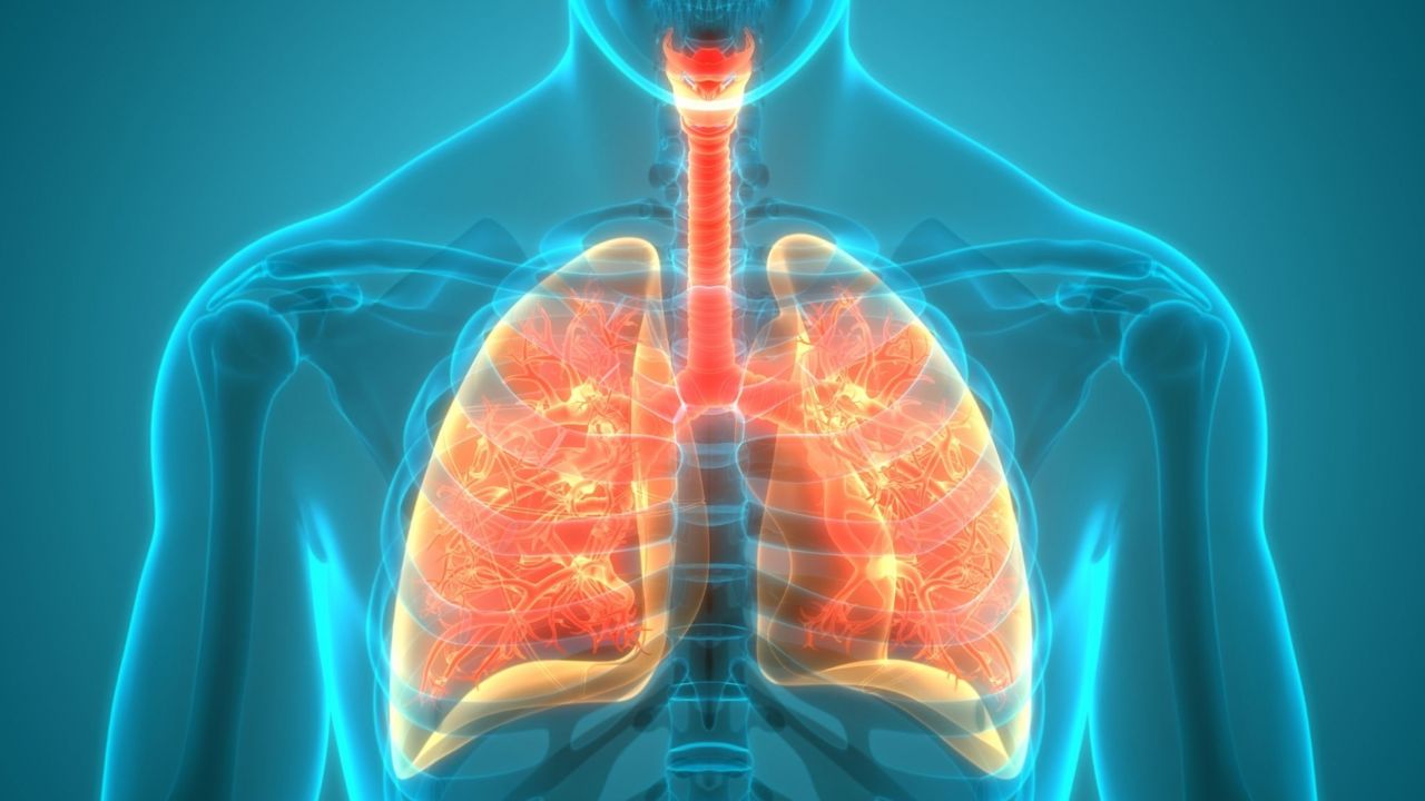 Quando Procurar Ajuda Médica: Sinais de Alerta - inspiração 1