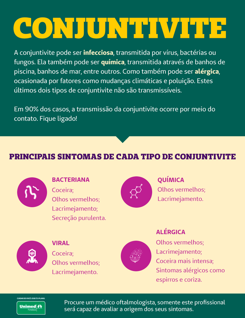 Alimentação e Bem-Estar: Reforçando Suas Defesas - inspiração 1