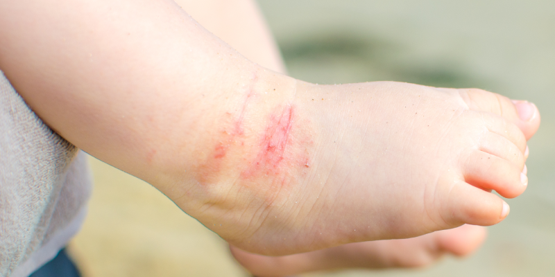 O Papel Crucial do Diagnóstico Médico Preciso - inspiração 1