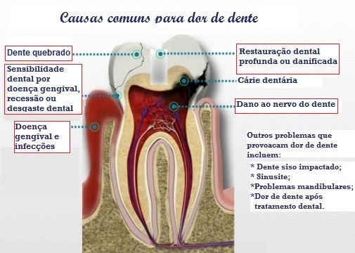 A Higiene Bucal Correta: Sua Primeira Linha de Defesa - inspiração 2