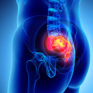 Fortalecendo o Core: Os Músculos que Protegem Sua Coluna - inspiração 1