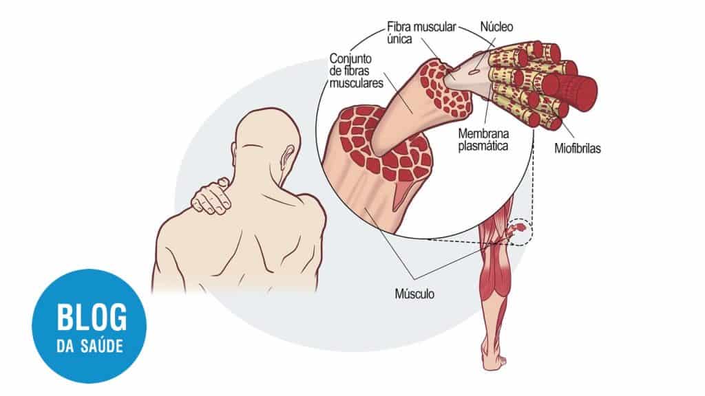 Massagem Terapêutica: Alívio Profundo e Eficaz - inspiração 1