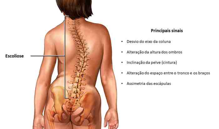 A Importância do Diagnóstico Preciso - inspiração 1