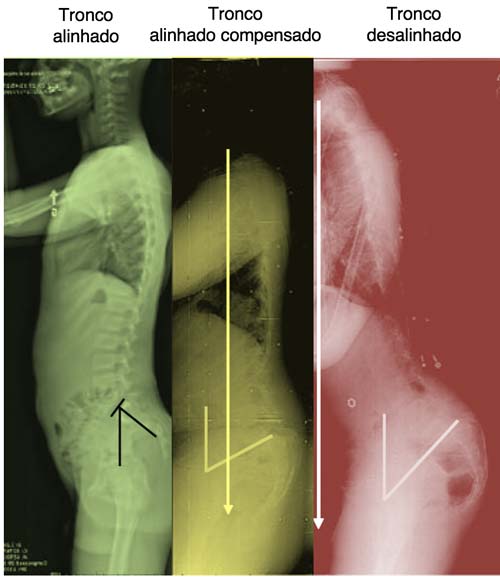 O acompanhamento profissional: Sabendo a hora de buscar ajuda especializada - inspiração 2