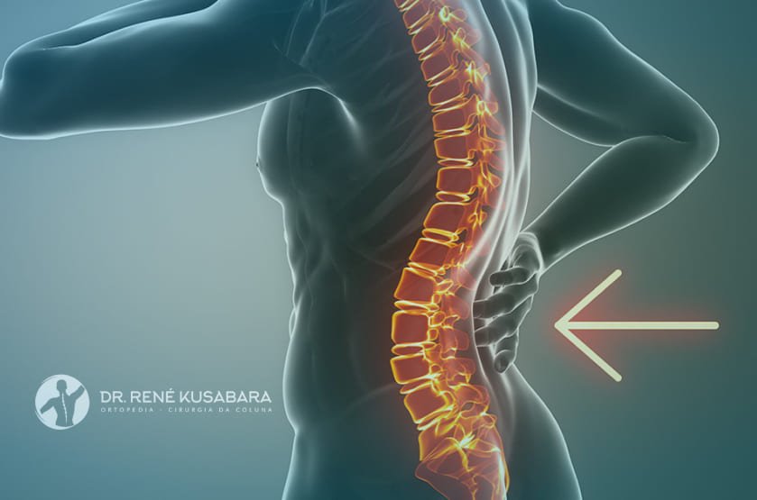 Hidratação e alimentação: Nutrientes que auxiliam na saúde óssea e muscular - inspiração 2