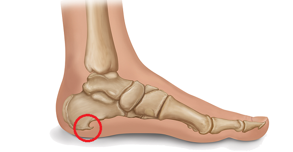 O Poder dos Exercícios: Movimentos Simples Que Aliviam a Tensão - inspiração 1