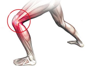 Fortalecimento muscular: seus joelhos te agradecerão - inspiração 2