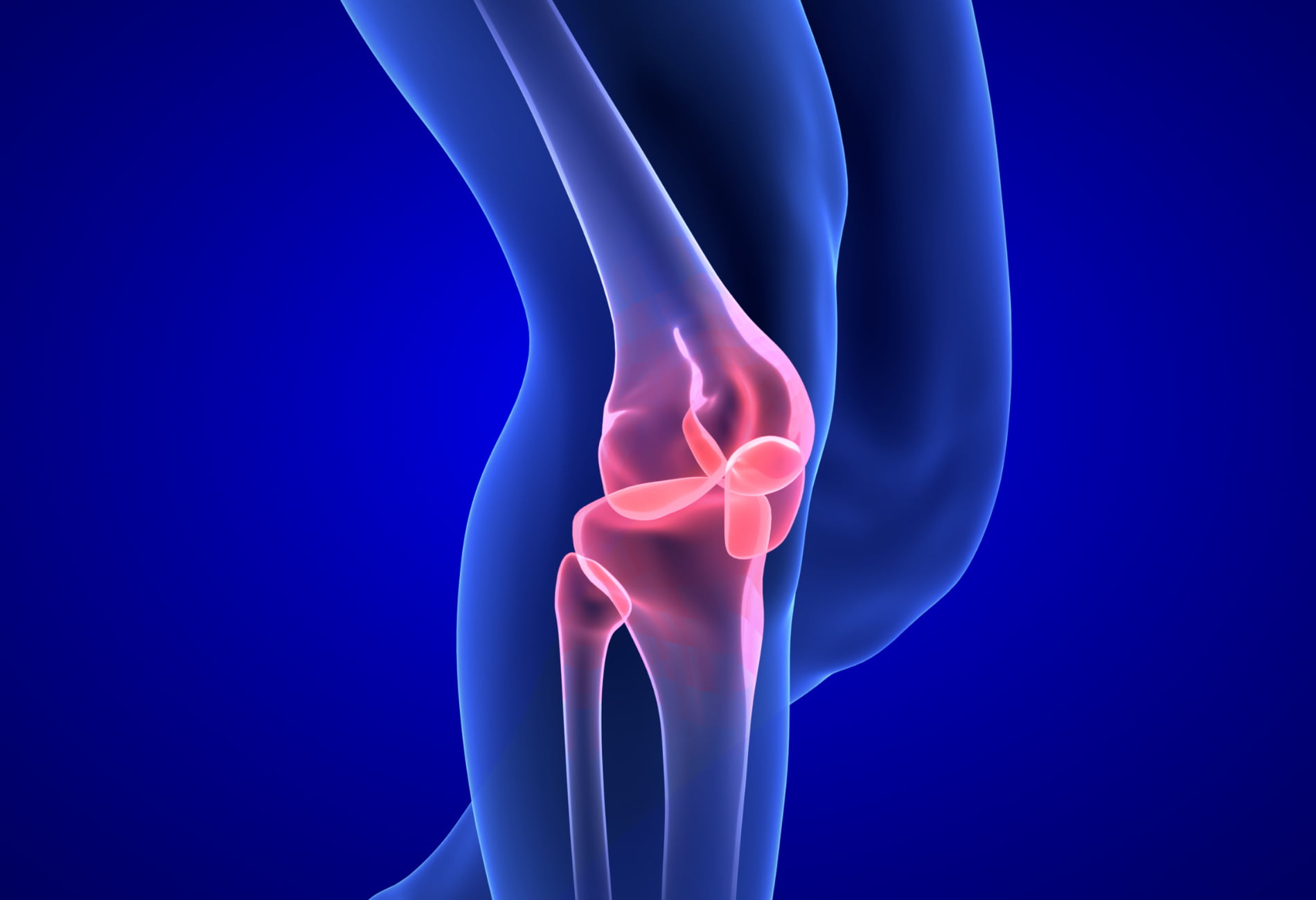 Movimento é Vida: Exercícios Gentis que Fortalecem Seus Joelhos - inspiração 1