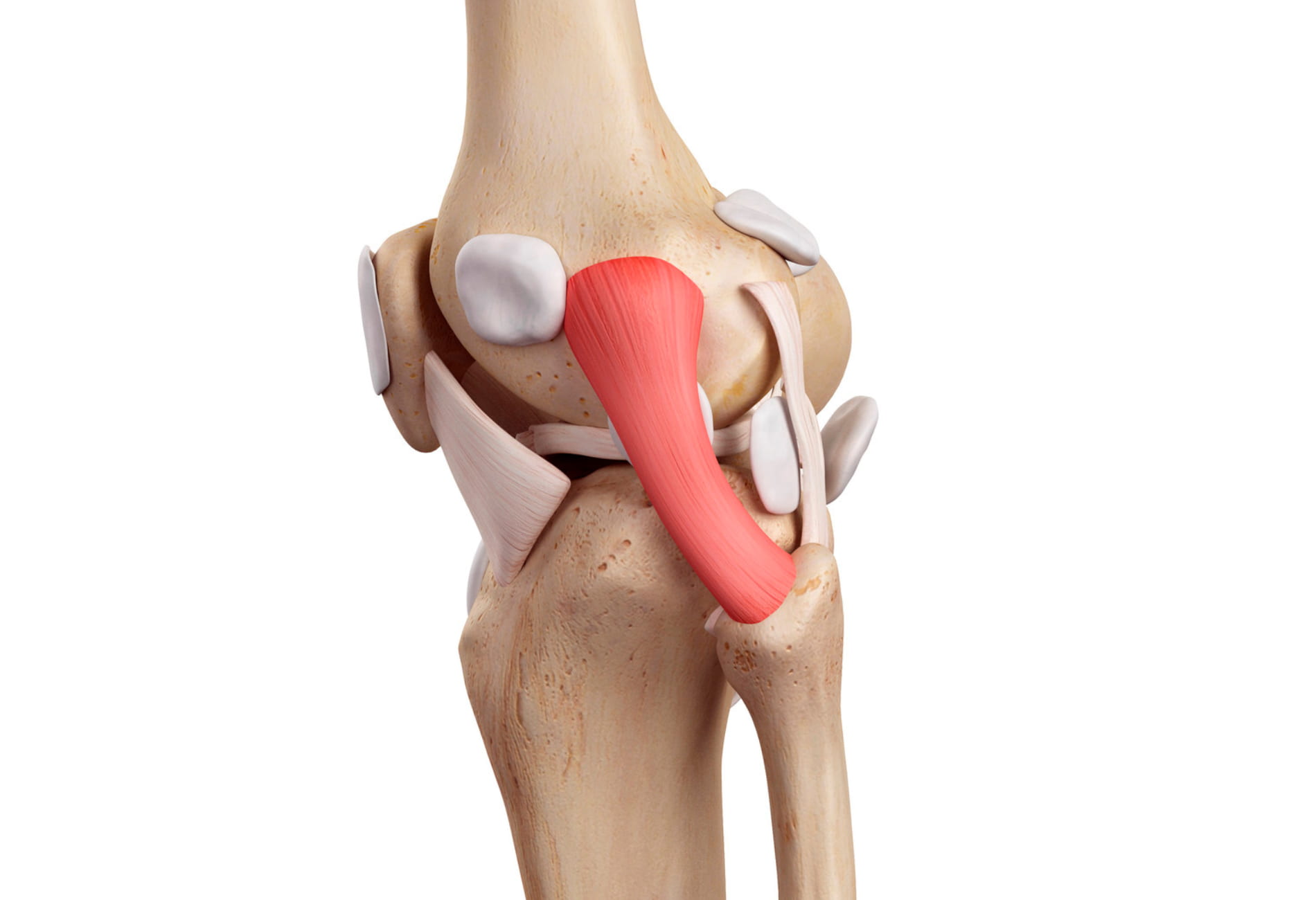 Medicamentos Sob Orientação: A Farmácia a Seu Favor - inspiração 2