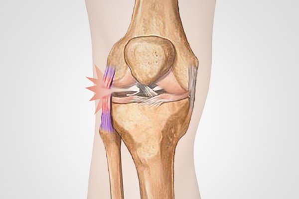 Exercícios Leves: Movimentando Sem Agredir - inspiração 2