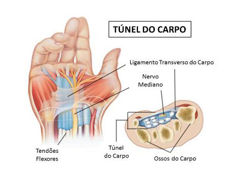 Atenção aos Detalhes: Como Segurar Seu Celular Corretamente - inspiração 1