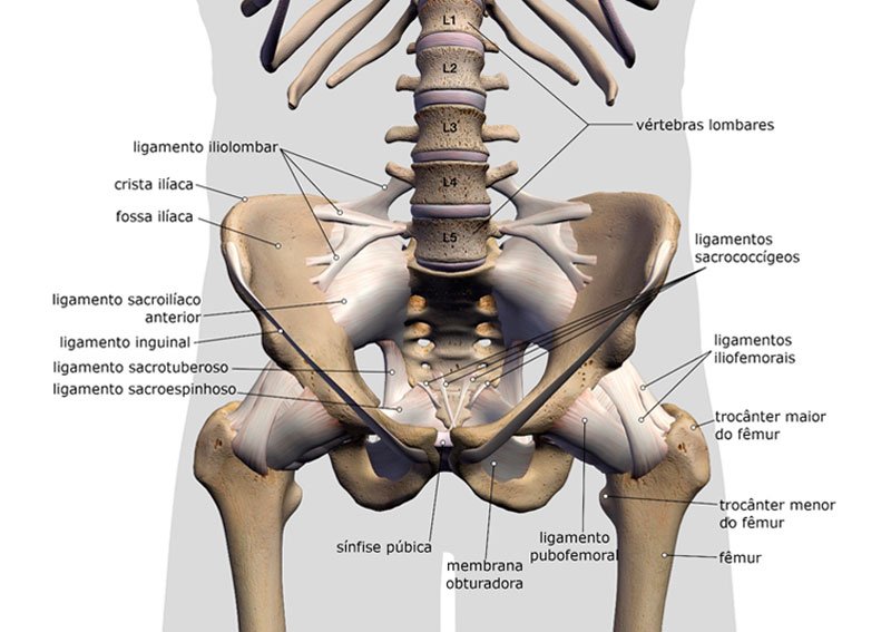 Hidratação e Nutrição: Aliadas no Controle da Inflamação - inspiração 2