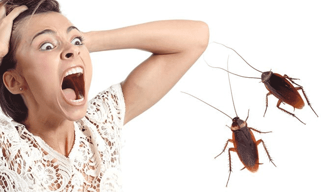 Exposição Gradual Controlada: Pequenos Passos para Grandes Conquistas - inspiração 1