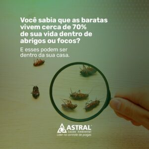 Técnicas de Relaxamento: Respirando Fundo na Adversidade - inspiração 1