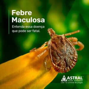 Reforço Positivo: Celebrando Cada Pequena Vitória - inspiração 1