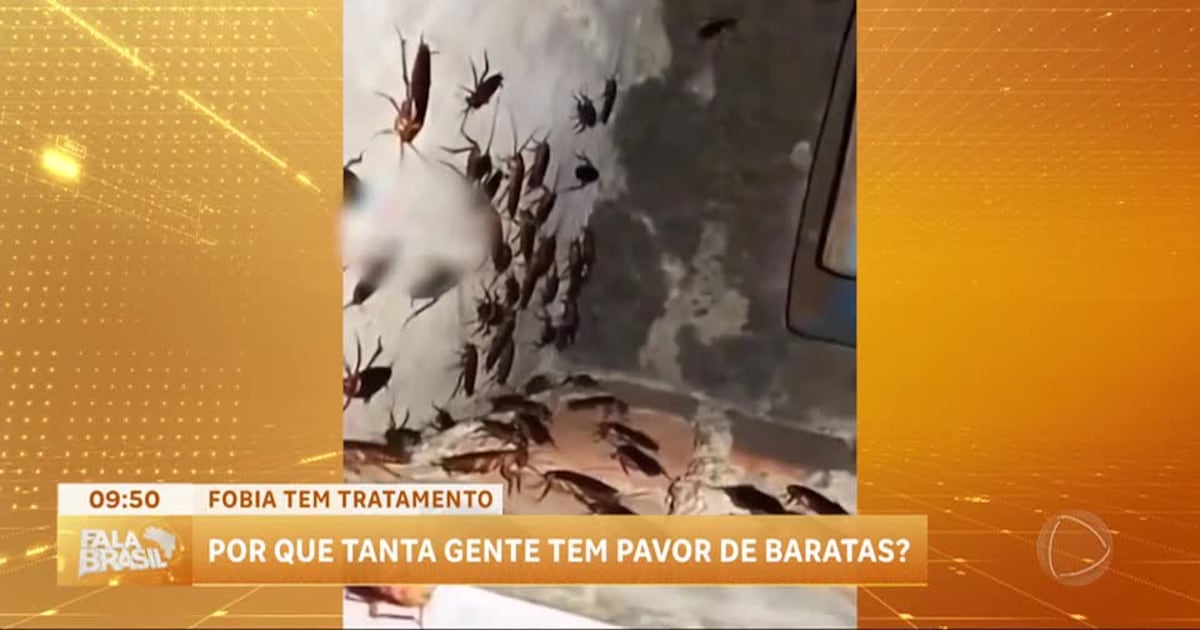 Reforço Positivo: Celebrando Cada Pequena Vitória - inspiração 2