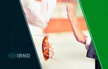 Ensinando Habilidades de Lidar: Dicas Práticas para Situações Reais - inspiração 1