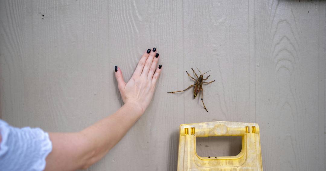 A Origem do Medo: Experiências e Aprendizados - inspiração 2