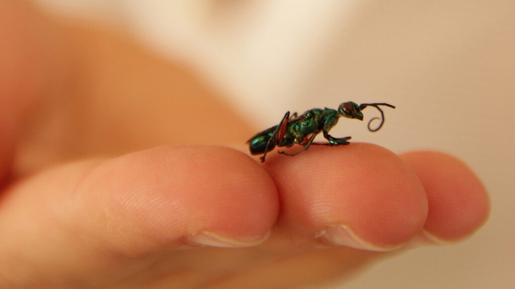 Quando Procurar Ajuda Profissional: Identificando Necessidades Específicas - inspiração 1