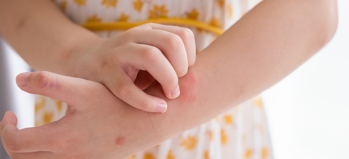 O Passo a Passo da Coragem: Pequenas Vitórias Diárias - inspiração 1