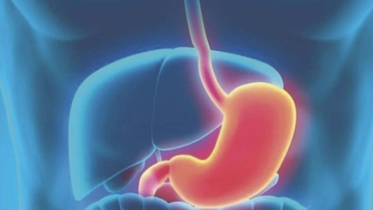 Prevenção e Cuidados a Longo Prazo: Vivendo Sem Desconforto - inspiração 2