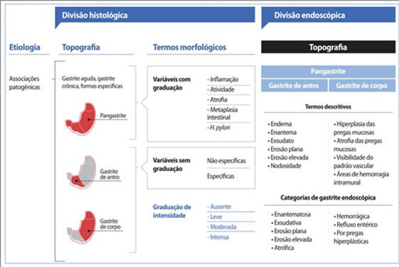 Diagnóstico Preciso: Exames Essenciais Para Confirmar a Gastrite - inspiração 2