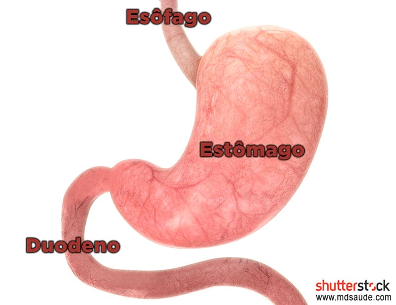Suplementação Cautelosa: Quando e como usar sem riscos - inspiração 2