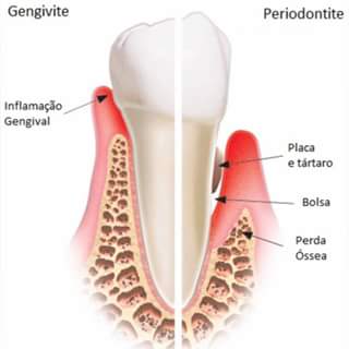 Tratamentos Caseiros Seguros: O Que Pode e o Que Não Pode Fazer - inspiração 1