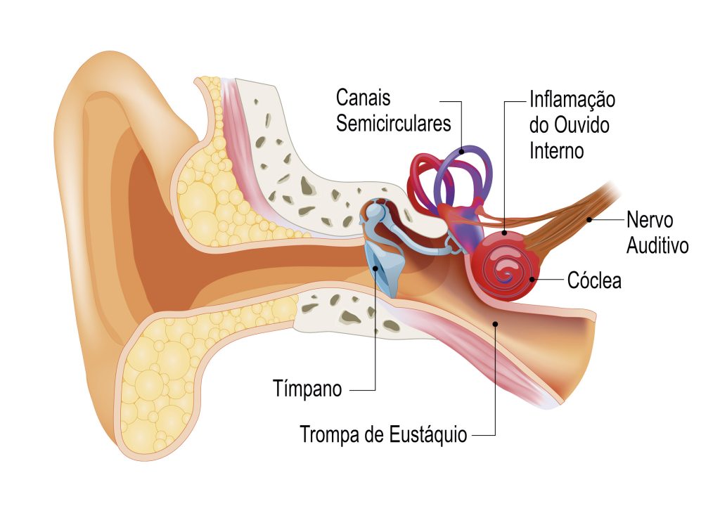 Exercícios Físicos Adaptados: Movimente-se com Segurança - inspiração 2