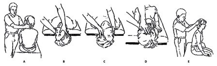 A Importância da Calma nos Gestos Quotidianos - inspiração 1