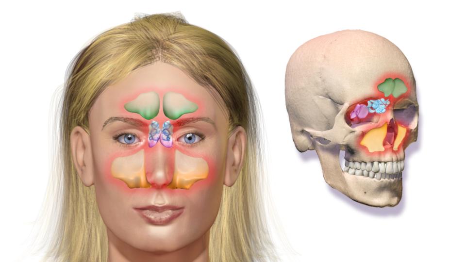 A Importância de um Bom Histórico Médico para o Diagnóstico - inspiração 2
