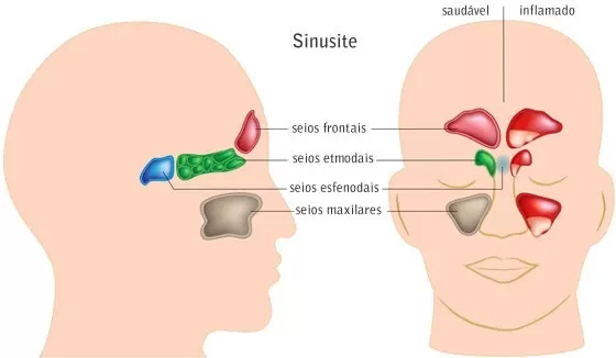 Repouso Inteligente: Ouça Seu Corpo Sem Culpa - inspiração 2