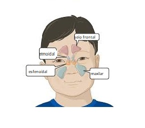 A Importância da Higiene Nasal - inspiração 1