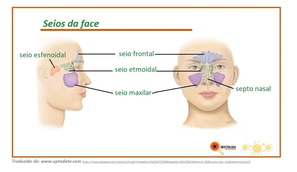 Hidratação: beba água para fluidificar o muco e facilitar sua eliminação - inspiração 2