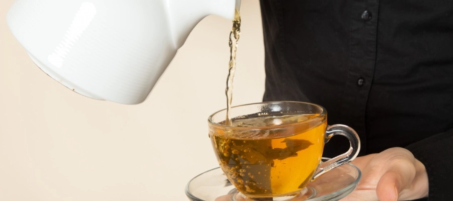 Melissa (Erva-Cidreira): Tranquilidade para Dias de Estresse Intestinal - inspiração 1