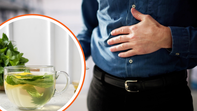 Melissa (Erva-Cidreira): Tranquilidade para Dias de Estresse Intestinal - inspiração 2