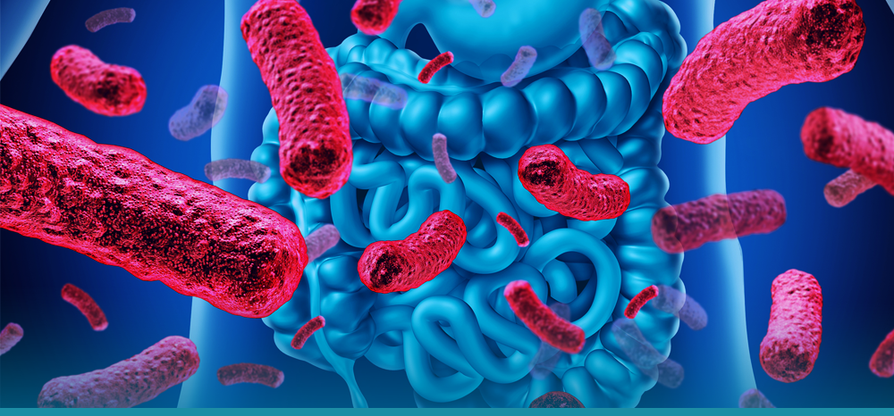 Consultando seu médico: Um passo essencial - inspiração 2