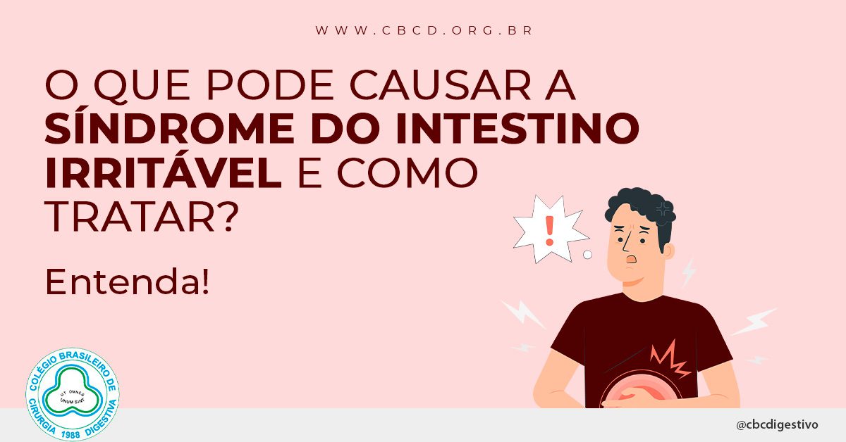 Fibras: amigas ou inimigas? Descubra a quantidade certa para você - inspiração 1