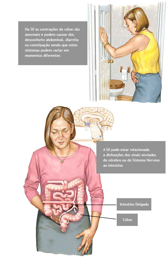 Fibras: amigas ou inimigas? Descubra a quantidade certa para você - inspiração 2