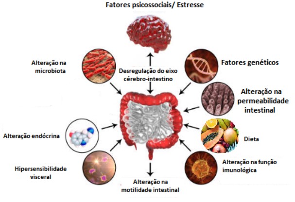 Alimentos a priorizar: nutrir seu intestino com o que faz bem - inspiração 1