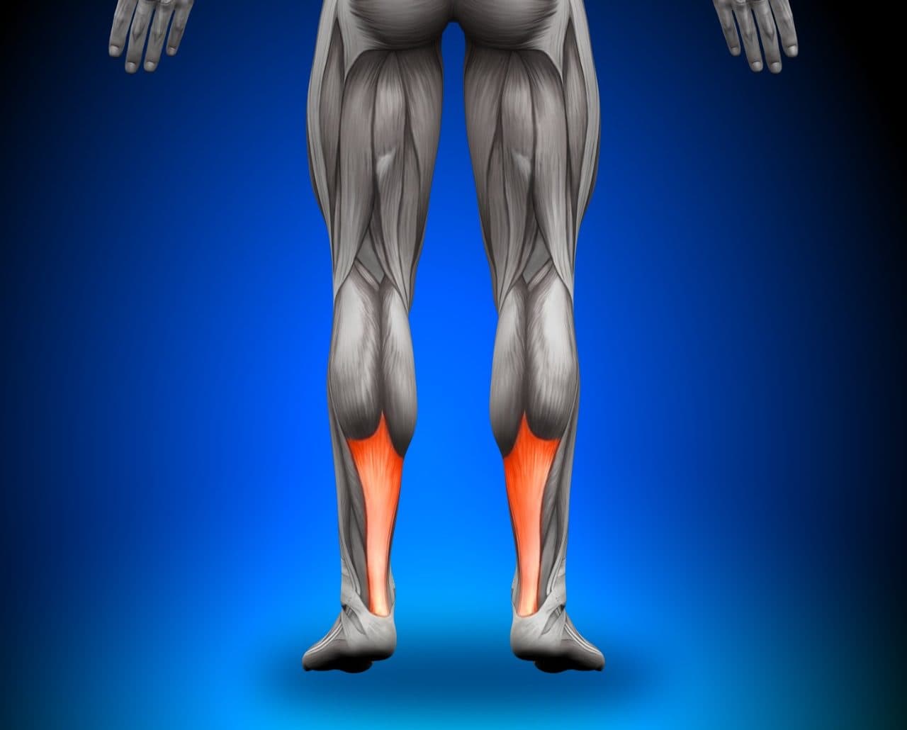 Fisioterapia: Um Caminho Guiado para a Recuperação - inspiração 2