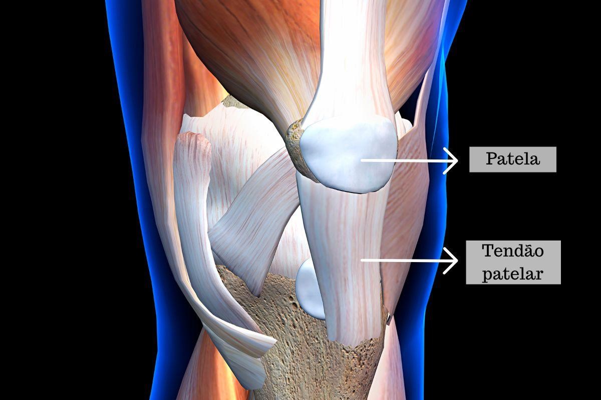 Gelo: Seu Aliado Imediato Contra a Inflamação - inspiração 2