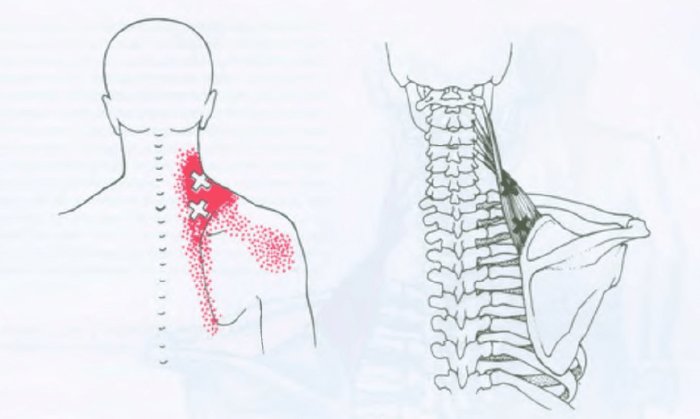 Tratamentos eficazes: Terapias que realmente funcionam. - inspiração 1