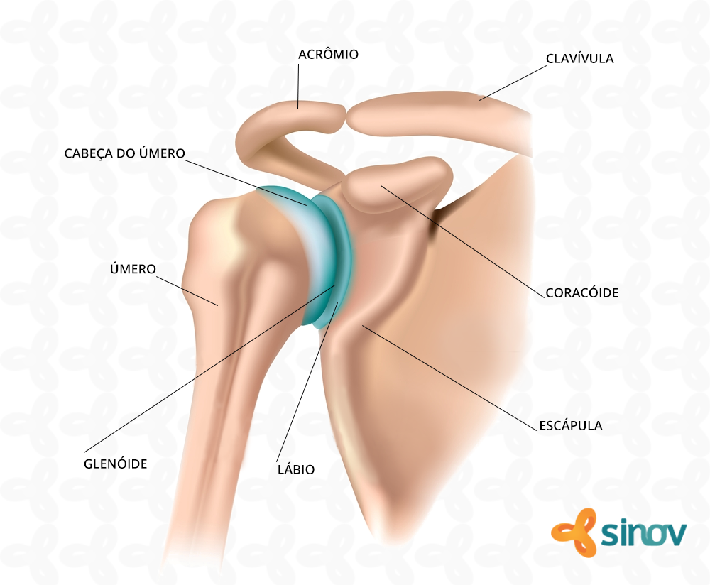 Ergonomia no dia a dia: Ajustes simples que fazem diferença. - inspiração 1